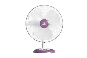 <!--td {border: 1px solid #cccccc;}br {mso-data-placement:same-cell;}-->Table Fans