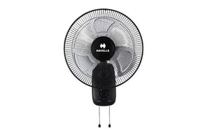 Fans