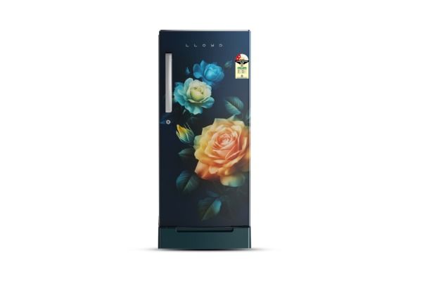 Lloyd Icecool Series 175 L Direct Cool Refrigerator 2 Star Fluerish Aqua | Fast Cooling with Flexible Storage