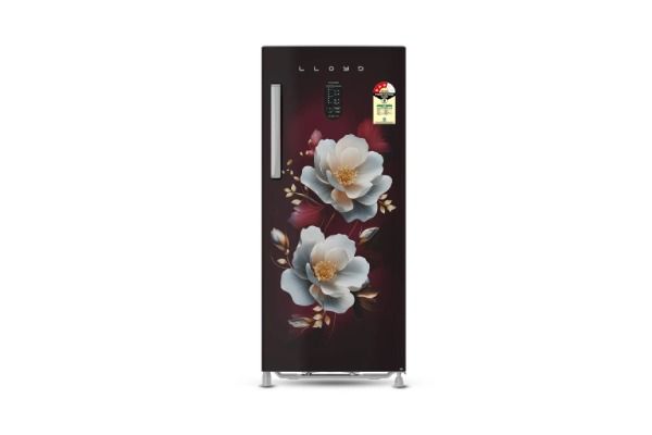 Lloyd Icecool Series 195 L Direct Cool Refrigerator 3 Star Gold Jade Wine | Rapid Freeze with Inverter Compressor