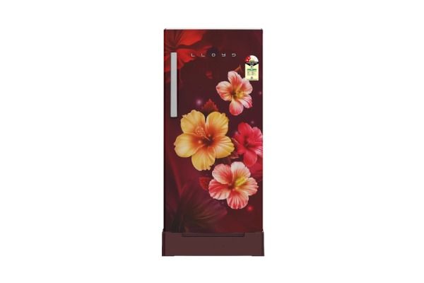 Lloyd Icecool Series 175 L Direct Cool Refrigerator 2 Star Secret Garden Wine | Fast Cooling & Flexible Storage